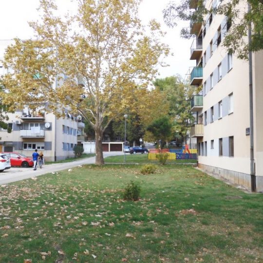 Wohnung PULA, KAŠTANJER, IN DER NÄHE VON SANTORIOVA STRASSE, SCHÖNES LAYOUT, 5. STOCK OHNE AUFZUG