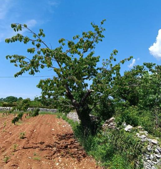 Štokovci, Строящаяся вилла, бассейн 11м2, современная постройка