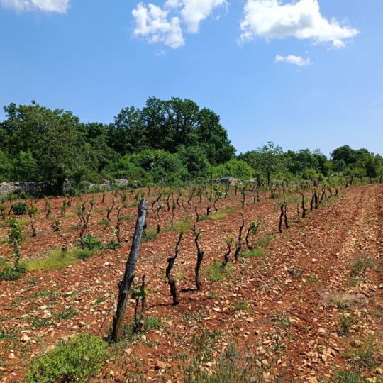Štokovci, Строящаяся вилла, бассейн 11м2, современная постройка