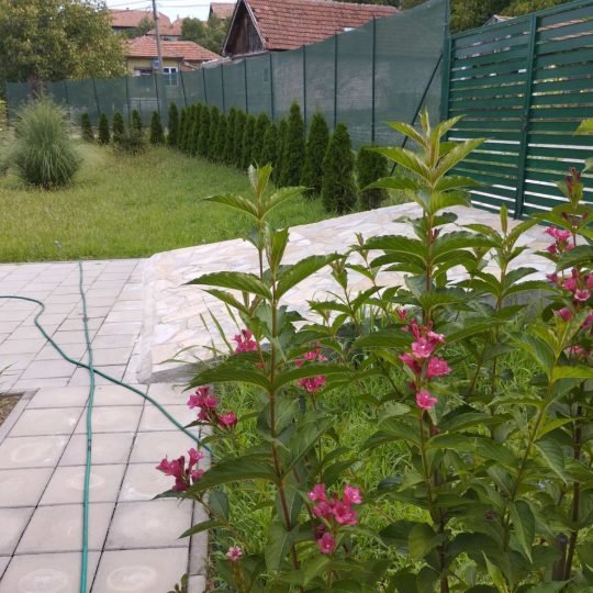 Дом, СЕРБИЯ, КРУСЕВАЦКИЙ РАЙОН, €48 000