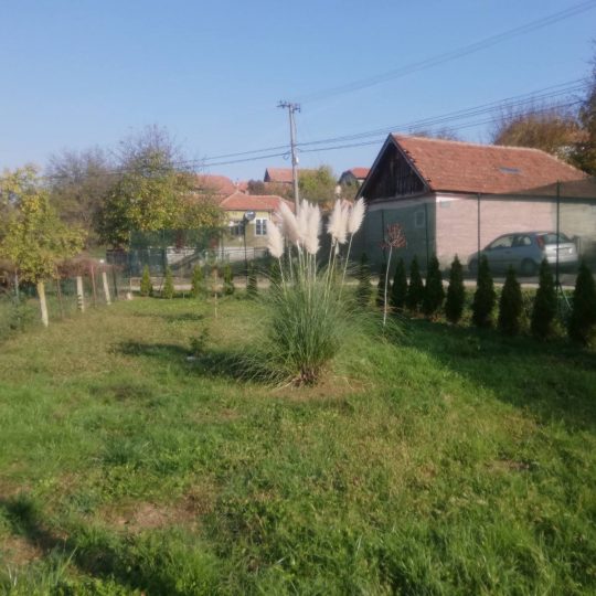Дом, СЕРБИЯ, КРУСЕВАЦКИЙ РАЙОН, €48 000