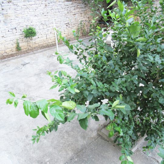 Квартира ПУЛА, ЦЕНТР, РЯДОМ С ТЮБЕ ЮРИНА И ФРАНИНА