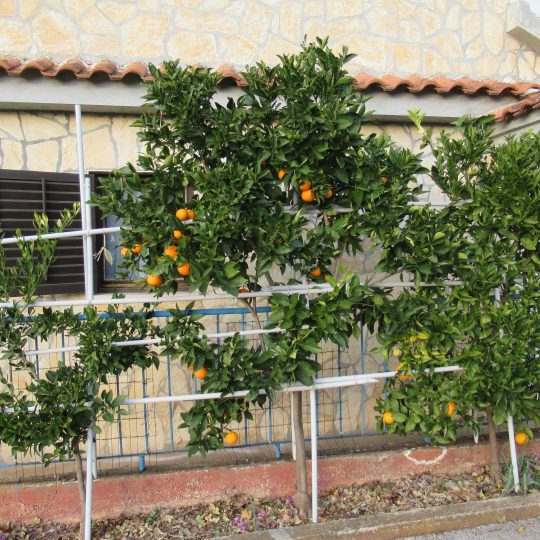Haus NACH PULA 4km, NACH MEDULINA 5km, UMGEBUNG ŠEVE, UMGEBUNG JADREŠKI