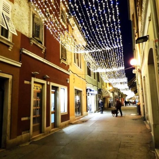 APARTMENT PULA, SERGIJEVACA STREET, NEAR PAVLO DEAKONA’S RISE