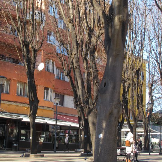 PULA STAN, CENTAR, PJEŠAČKA ZONA, EKSKLUZINO, KOD GIARDINI