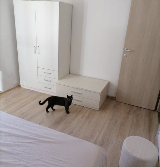 Dvije šarmantne kuće na prodaju u mirnom naselju – idealno za obitelj ili investiciju