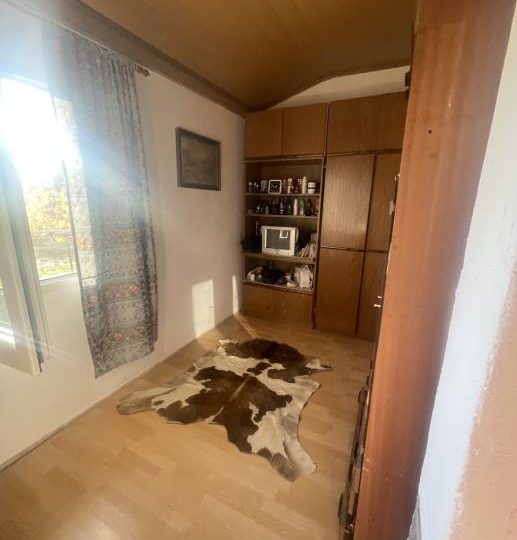 Kuća okružena zelenilom