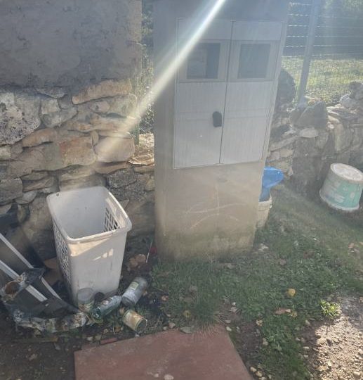 Kuća okružena zelenilom