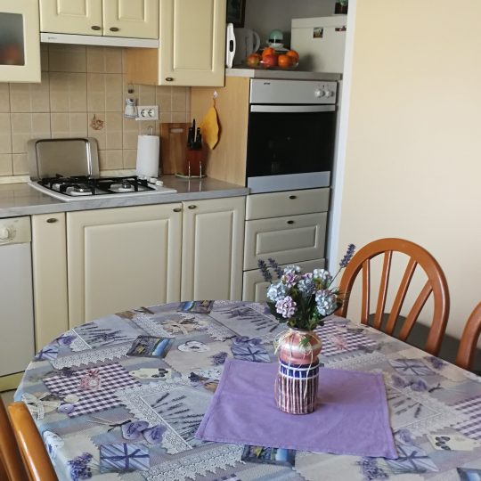 Obiteljska kuća na Vidikovcu (prodaja)