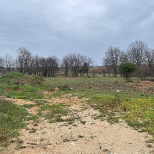 Parcela ( T-zona ) 9463m2