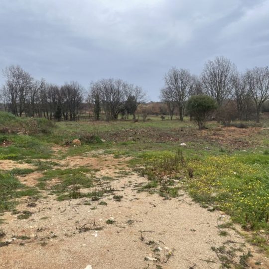 Parcela ( T-zona ) 9463m2