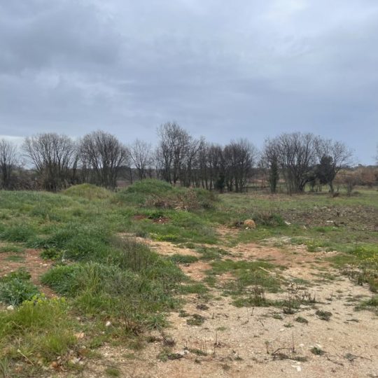Parcela ( T-zona ) 9463m2