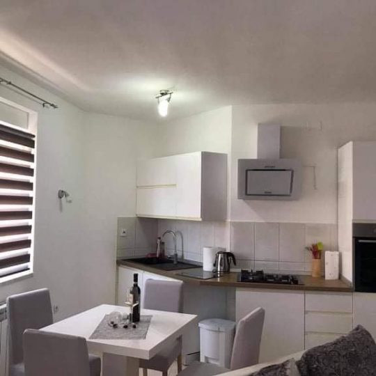 Apartment with a sea view