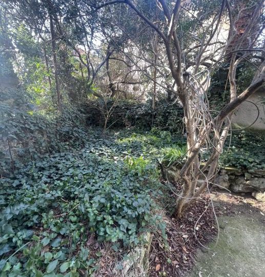 Apartment on the ground floor (ideal for rent to students) (sale)