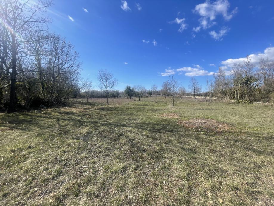 vodnjan-8000-m2-slika-190306347