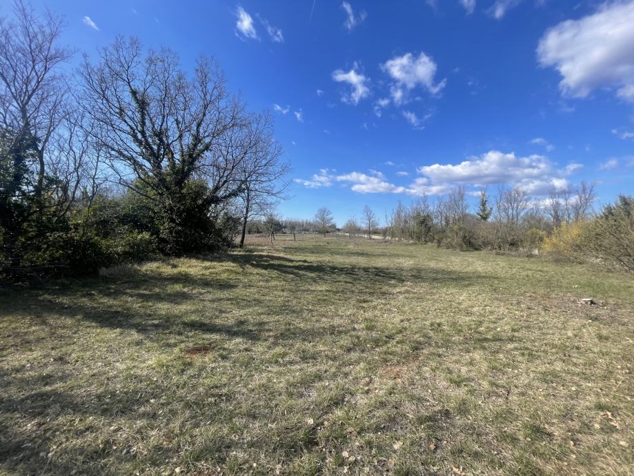 vodnjan-8000-m2-slika-190306350