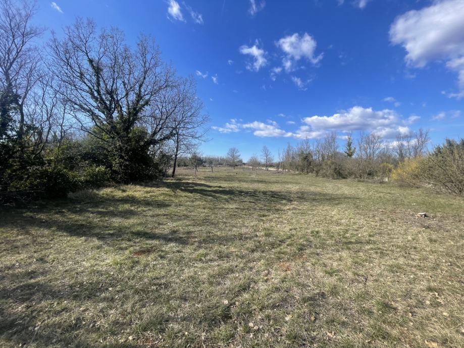 vodnjan-8000-m2-slika-190306352
