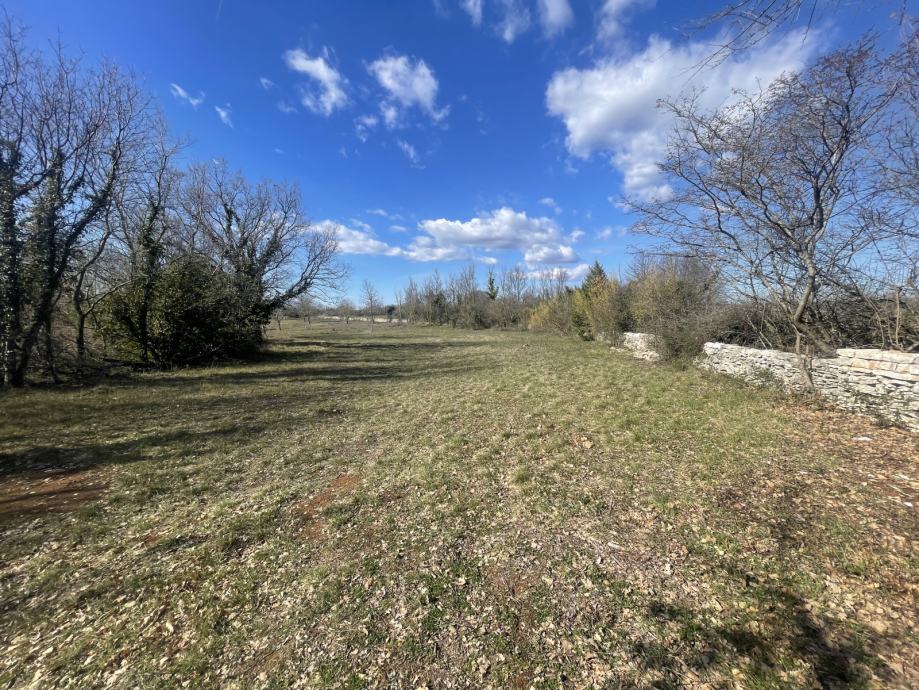 vodnjan-8000-m2-slika-190306355