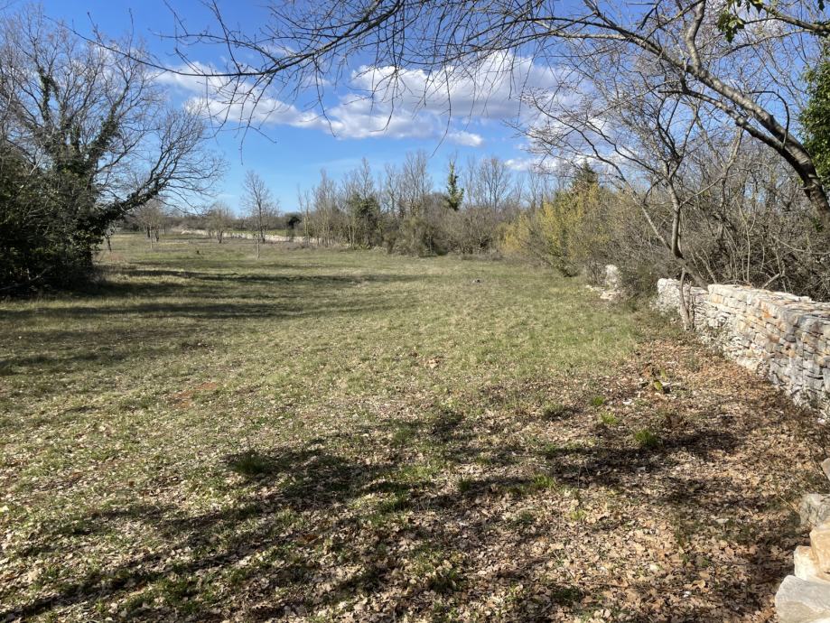 vodnjan-8000-m2-slika-190306372