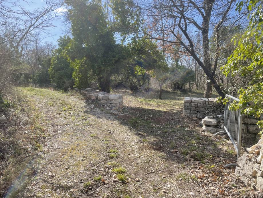 vodnjan-8000-m2-slika-190306373