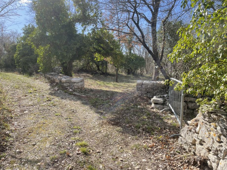 vodnjan-8000-m2-slika-190306374