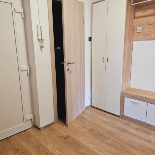 ZWEI-ZIMMER-WOHNUNG SIŠANSKO NESELJE!!! (Verkauf)