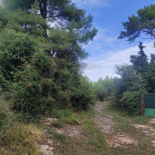 Пашня, Медулин, 2200 м2