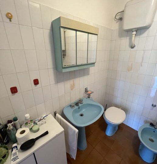 EIN HAUS MIT ZWEI WOHNUNGEN UND EINEM GROßEN GARTEN!!! (Verkauf)
