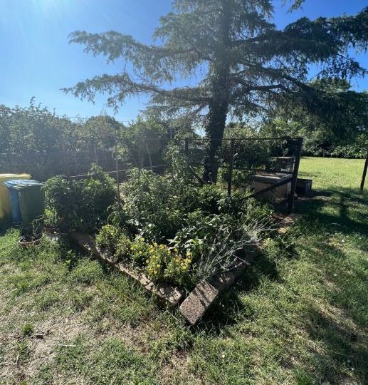 EIN HAUS MIT ZWEI WOHNUNGEN UND EINEM GROßEN GARTEN!!! (Verkauf)