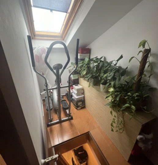 EIN SCHRITT ZUR ARENA!!! CENTER!!! (Verkäufe)