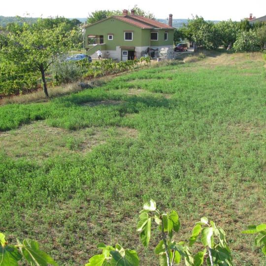 Grundstück in Barban, Istrien (1329 m²) – Dringender Verkauf, Gelegenheit!