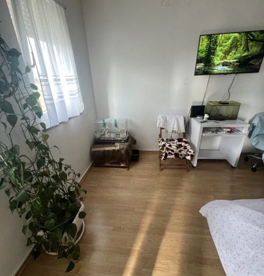 WOHNUNGSMÖGLICHKEIT IN ATTRAKTIVER LAGE!! (Hallen)