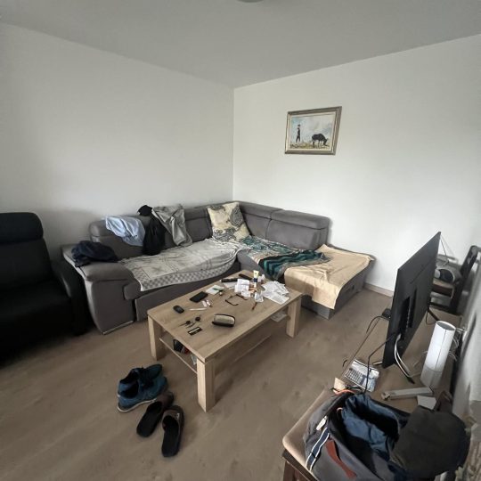 KAŠTANJER!!!
