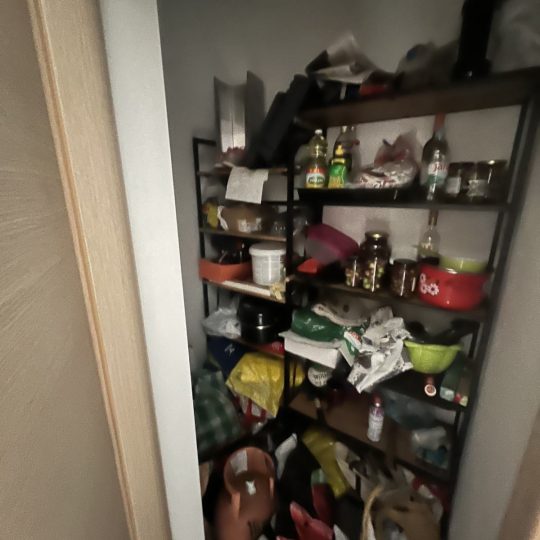 KAŠTANJER!!!
