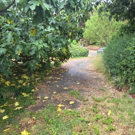 Fažana – zemljište 3331 m², 400 m od mora, odlična lokacija