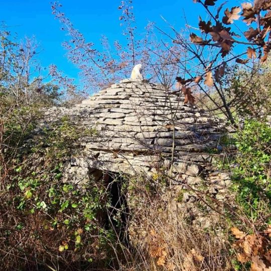 NON-URBANIZED PLOT FOR SALE 3170 M² – FAŽANA, ISTRIA – OPPORTUNITY