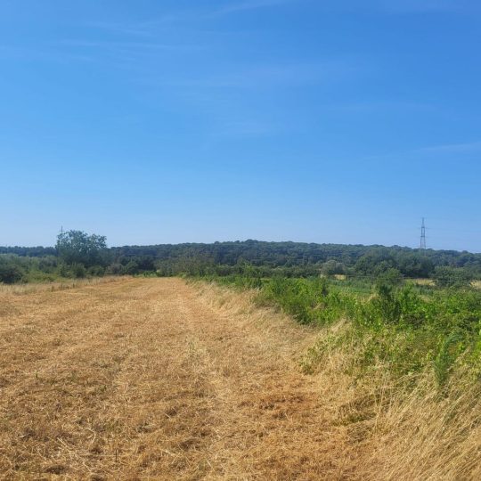 Zemljište pred urbanizacijom!