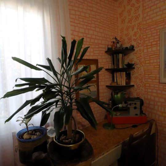 Kaštanjer dvosoban stan u prizemlju