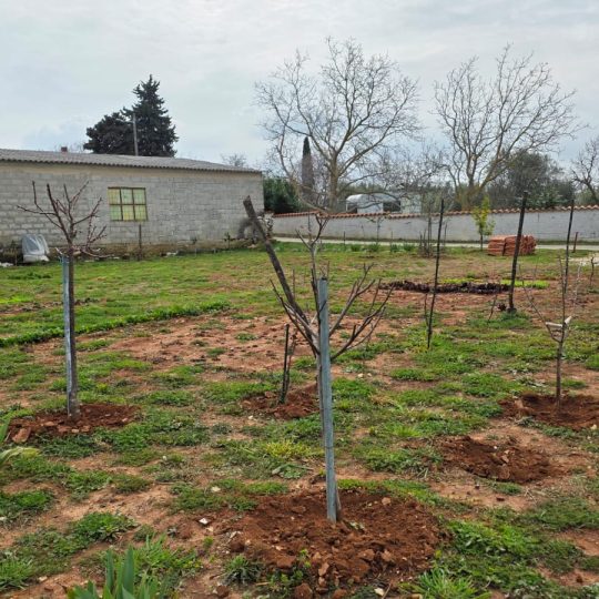 Građevinsko zemljište, 85000 EUR, Prilika!
