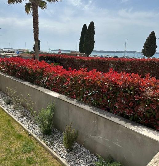 Premium Villa u Fažani – samo 100 m od mora