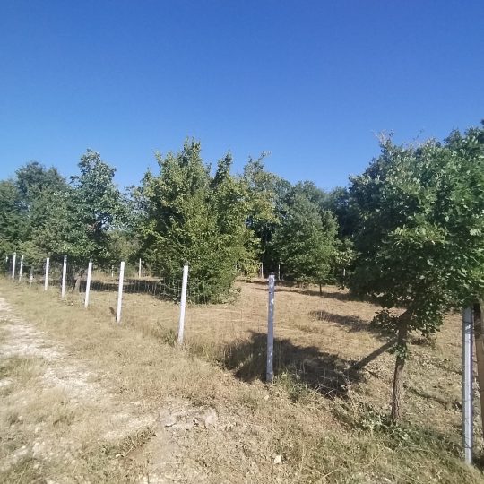 Marčana: Vikend parcela u prirodi