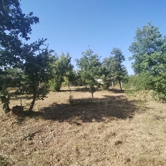 Marčana: Vikend parcela u prirodi