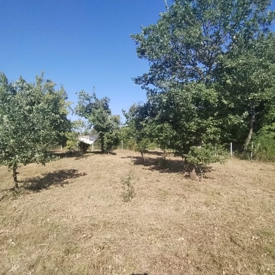 Marčana: Vikend parcela u prirodi