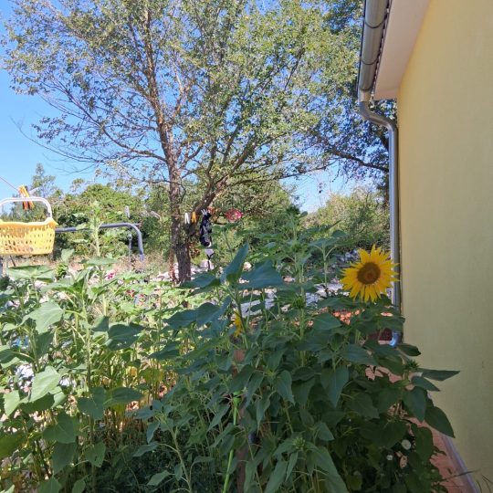 Savičenta – okolica: Kuća za odmor, idealna za obitelj i privatnost