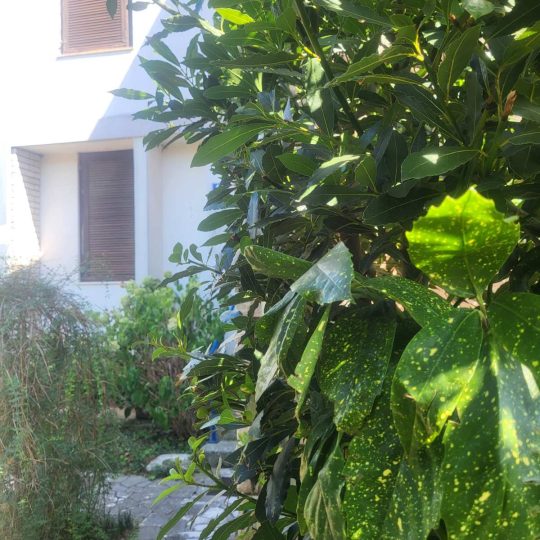 Fažana: Prodaje se kuća u Fažani P +1, s okućnicom i garažom
