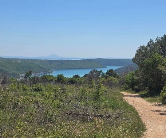 Puntera – Barban: Na prodaju 4 premium građevinske parcele, pogled more!