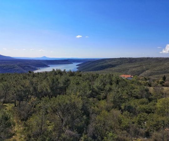 Puntera – Barban: Na prodaju 4 premium građevinske parcele, pogled more!
