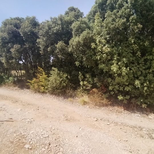 Duga Uvala-Pavićini, 315 m2, blizu mora, za odmor!