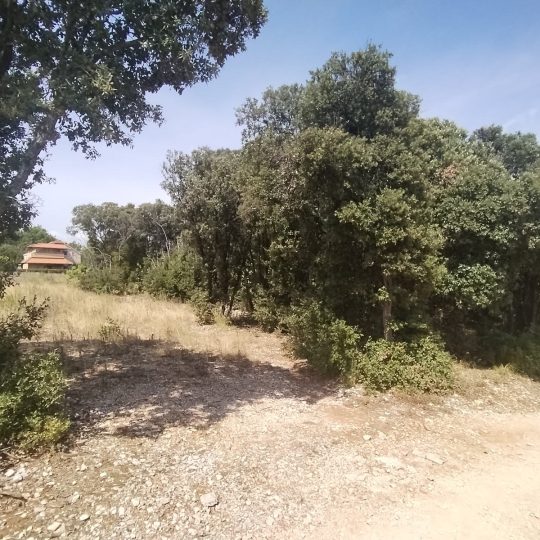 Duga Uvala-Pavićini, 315 m2, blizu mora, za odmor!