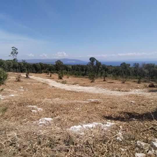 Kavran, vikend parcele 300-400 m2, na osami, prekrasan pogled!